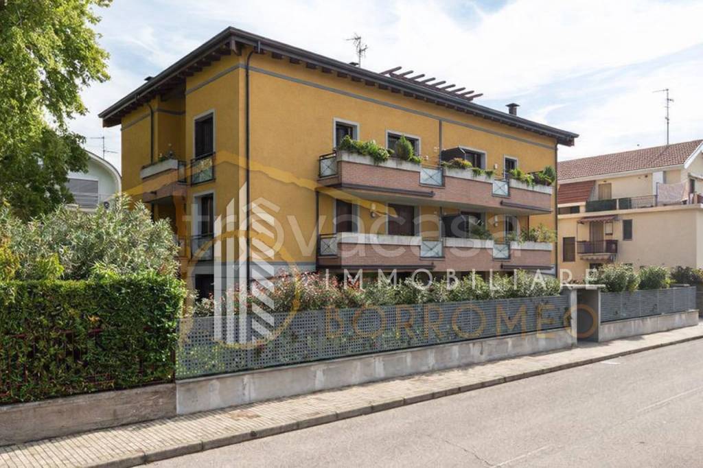 immagine annuncio 5 di 7