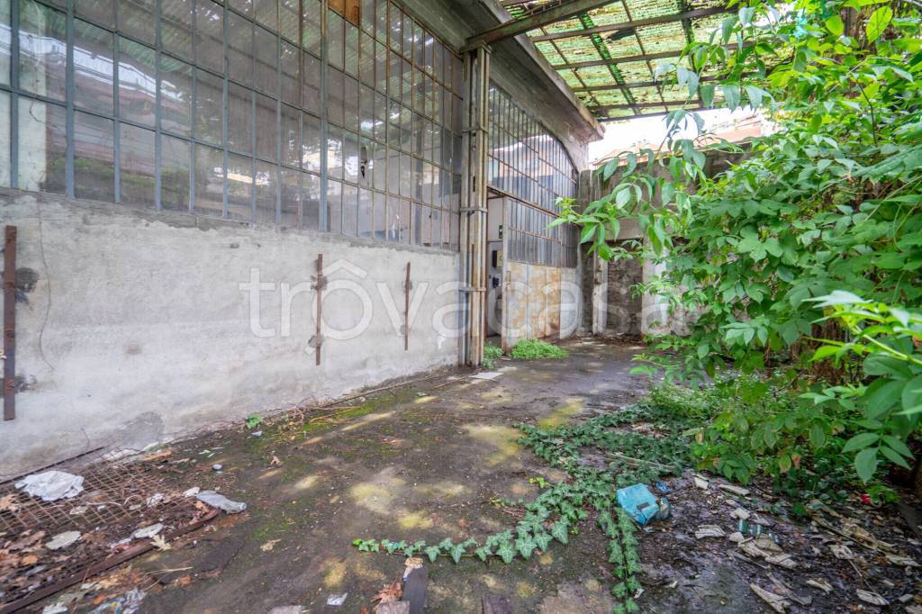 immagine annuncio 4 di 12