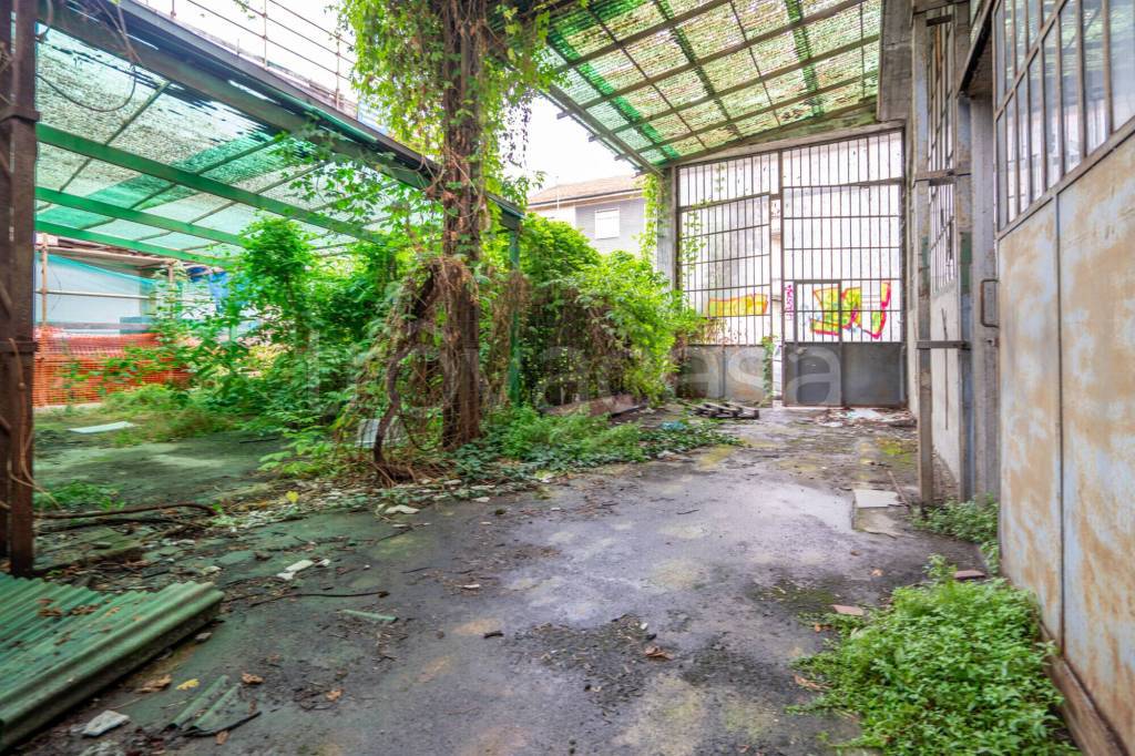 immagine annuncio 5 di 12