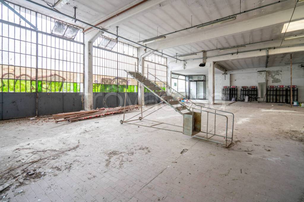 immagine annuncio 7 di 12