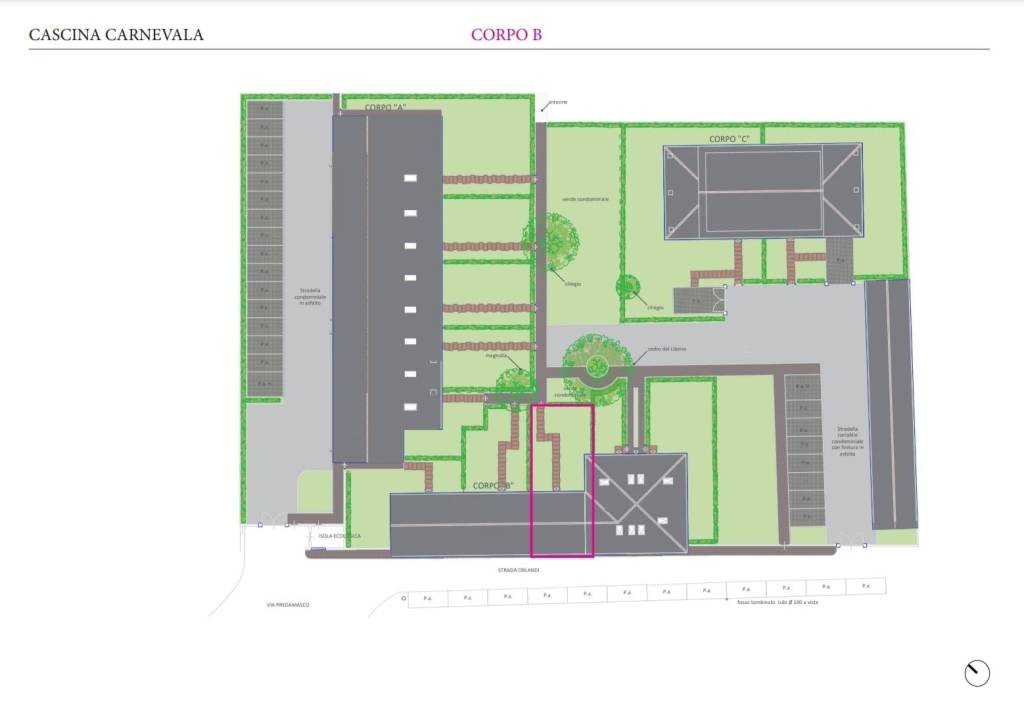 immagine annuncio 2 di 5