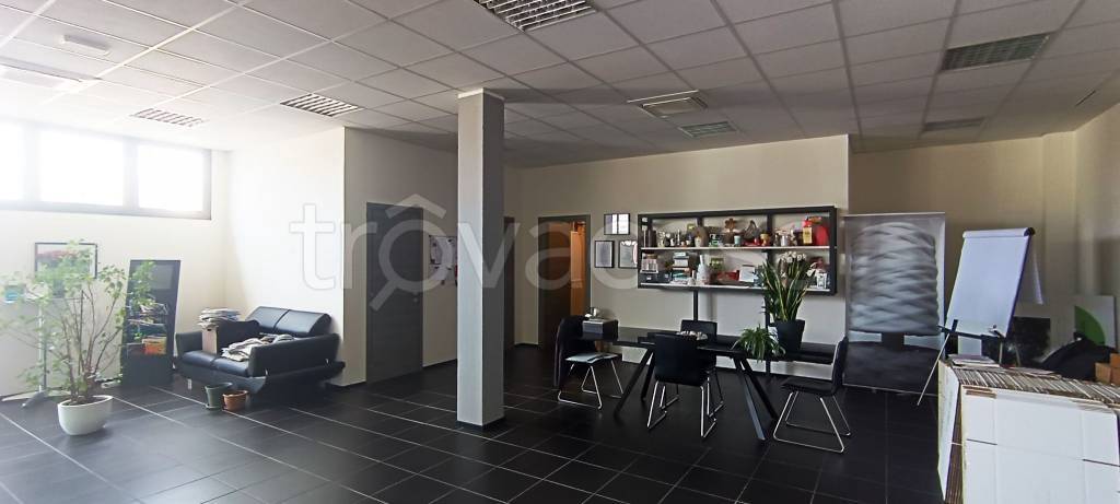 immagine annuncio 9 di 14