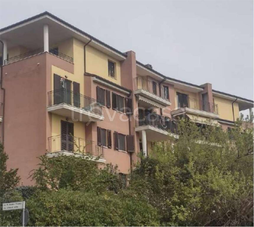 immagine annuncio 2 di 14