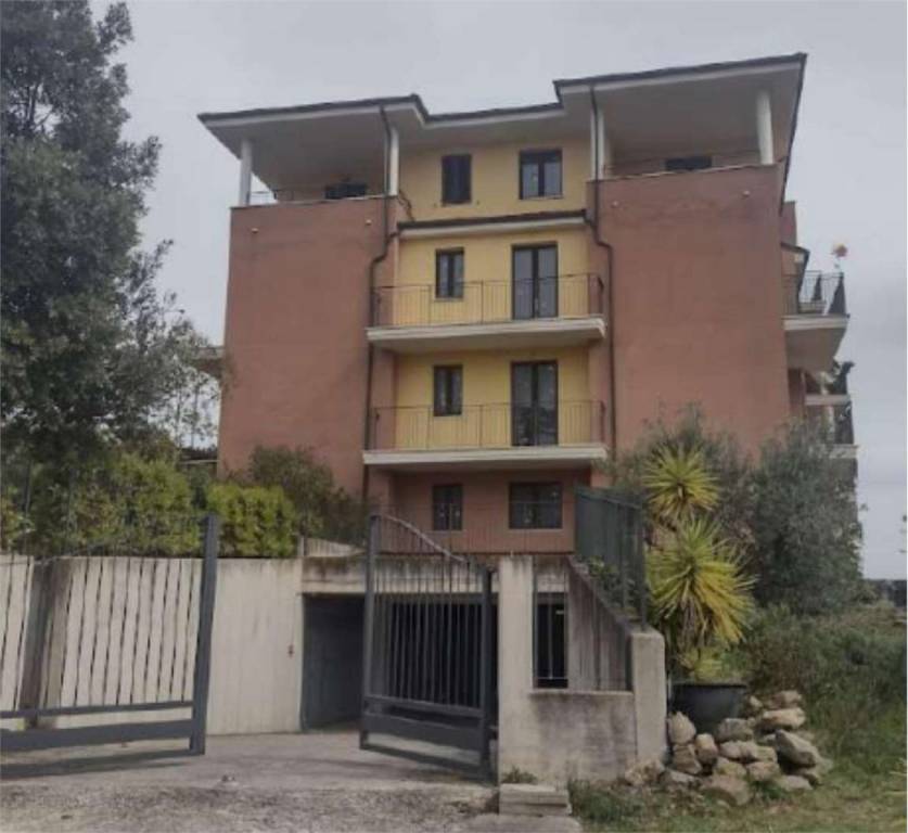 immagine annuncio 3 di 14