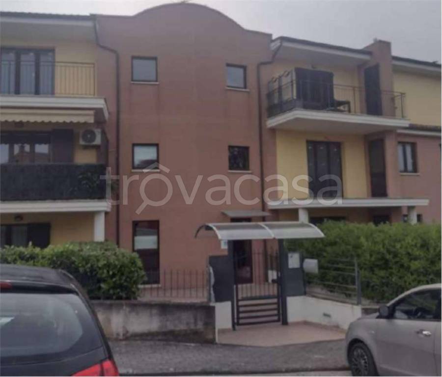 immagine annuncio 5 di 14