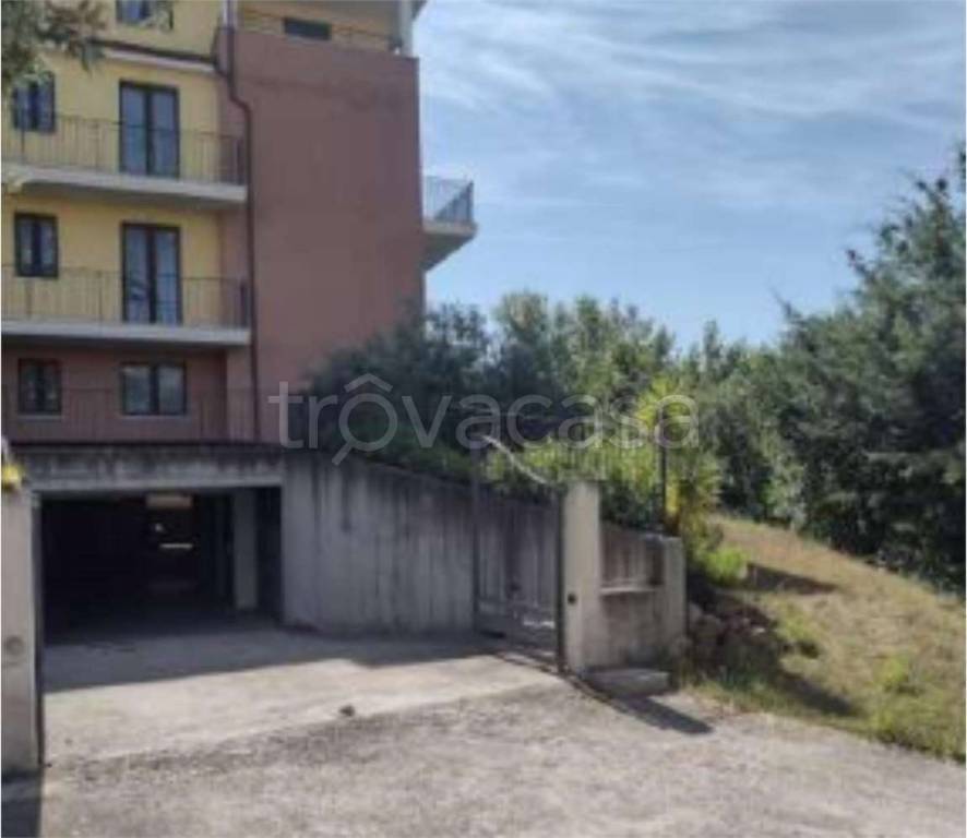 immagine annuncio 6 di 14