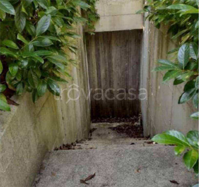 immagine annuncio 8 di 14