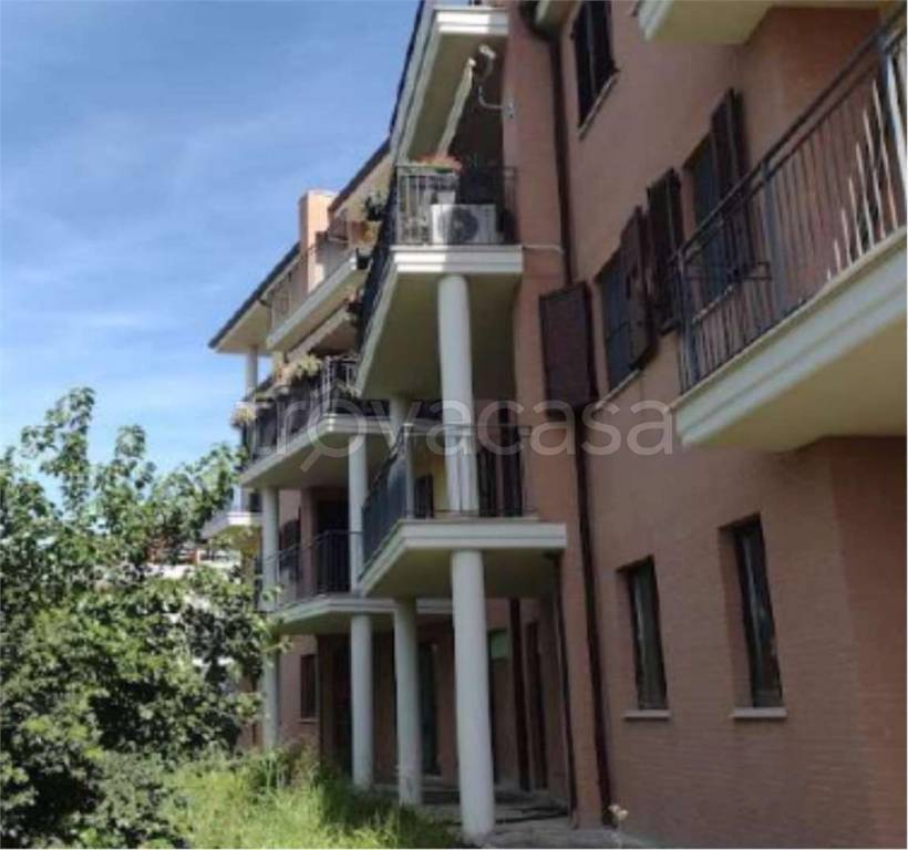 immagine annuncio 9 di 14