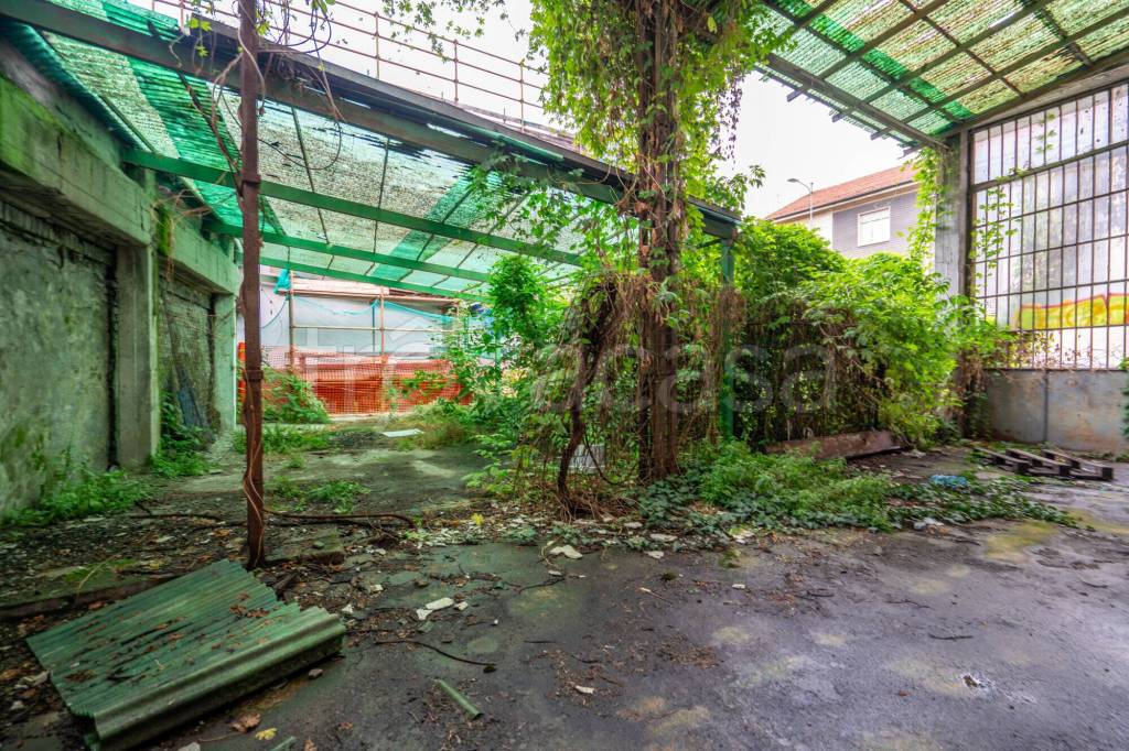 immagine annuncio 6 di 12