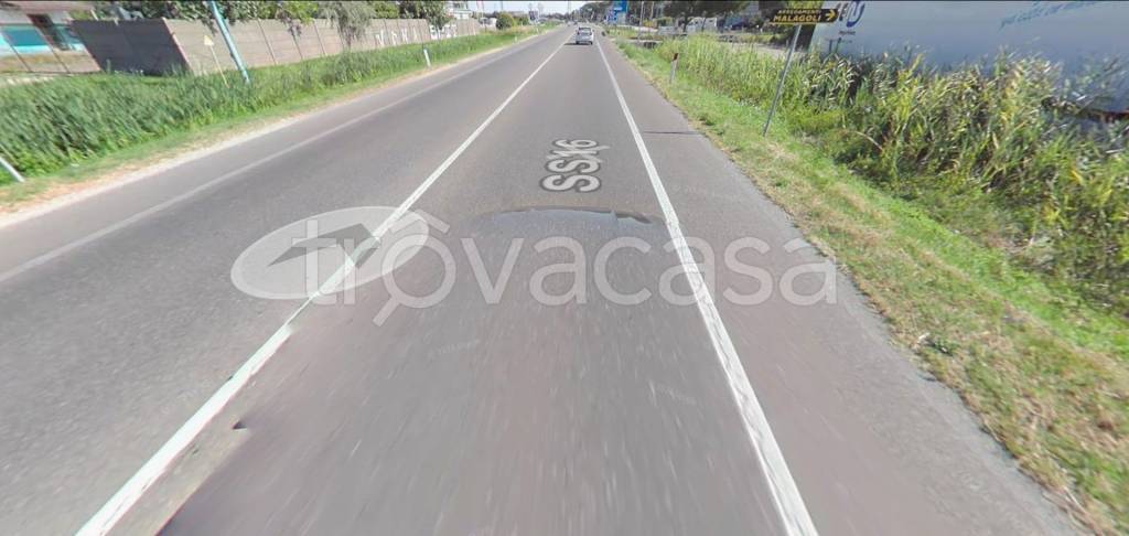 immagine annuncio 5 di 12