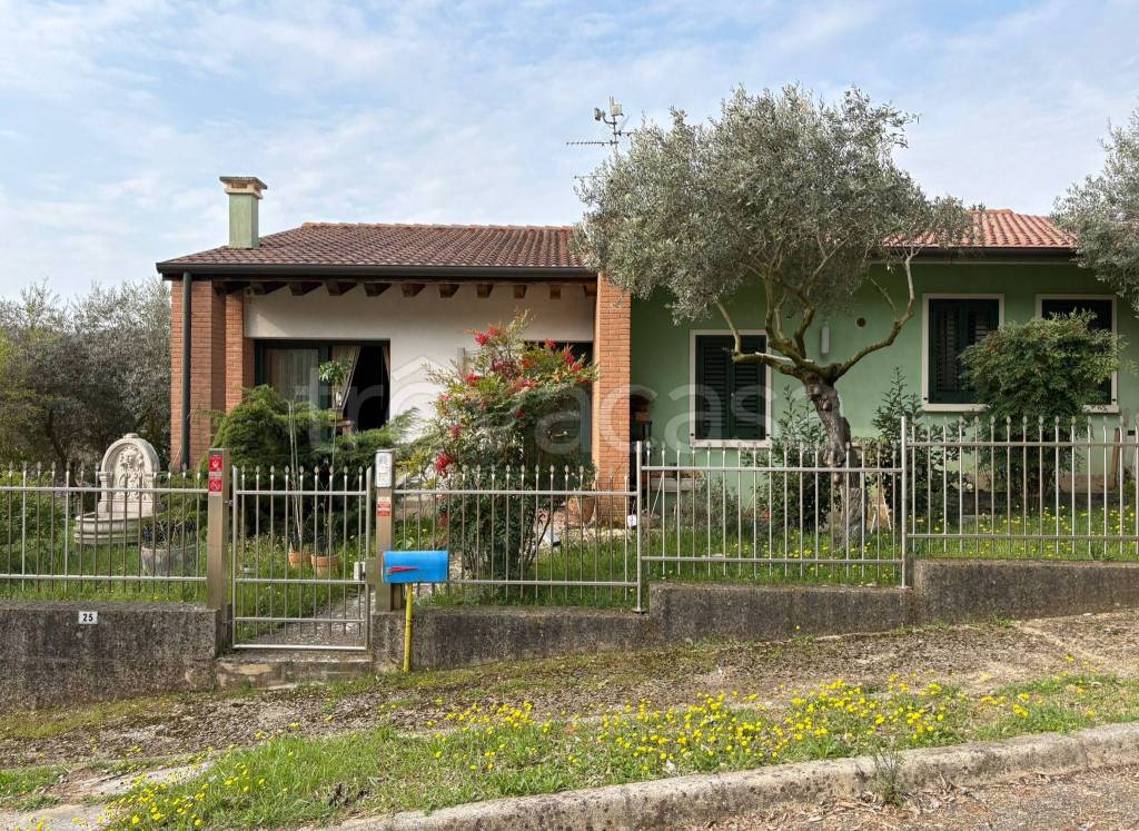 immagine annuncio 1 di 14