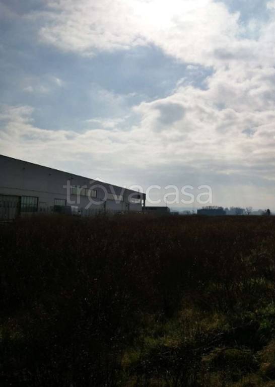 immagine annuncio 2 di 11