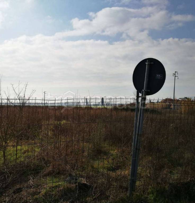 immagine annuncio 3 di 11