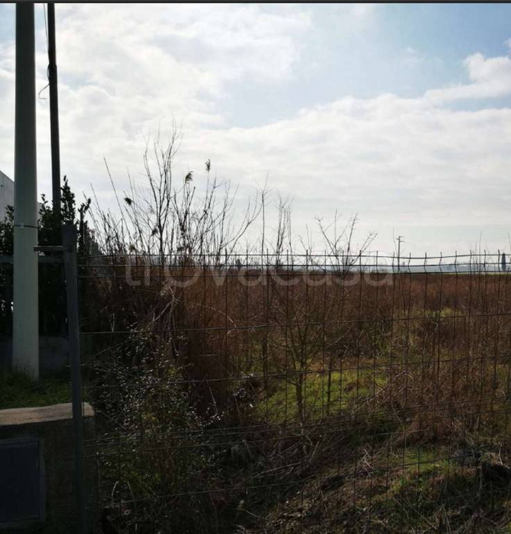 immagine annuncio 4 di 11