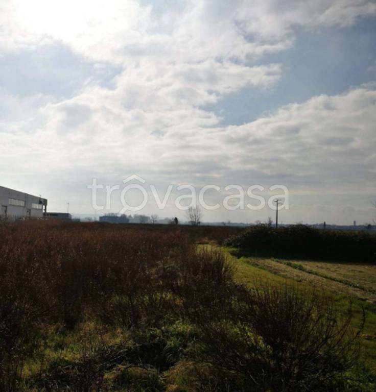 immagine annuncio 5 di 11