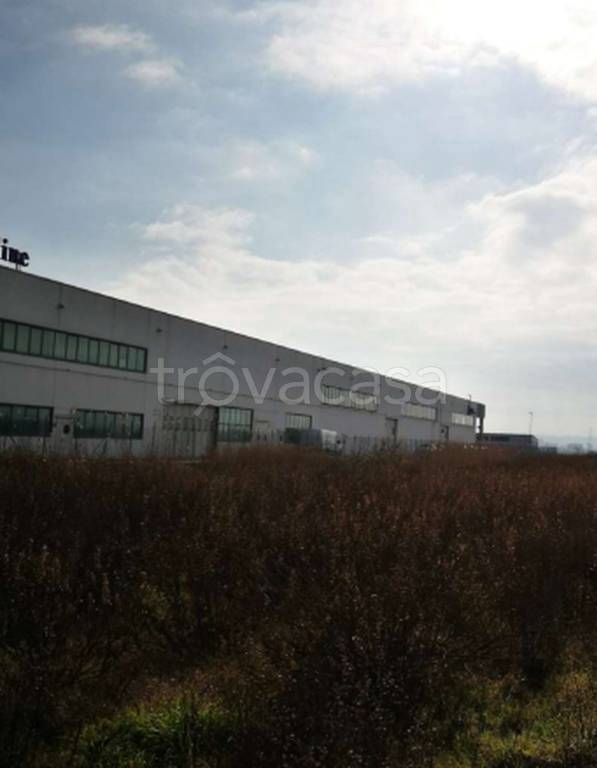 immagine annuncio 6 di 11