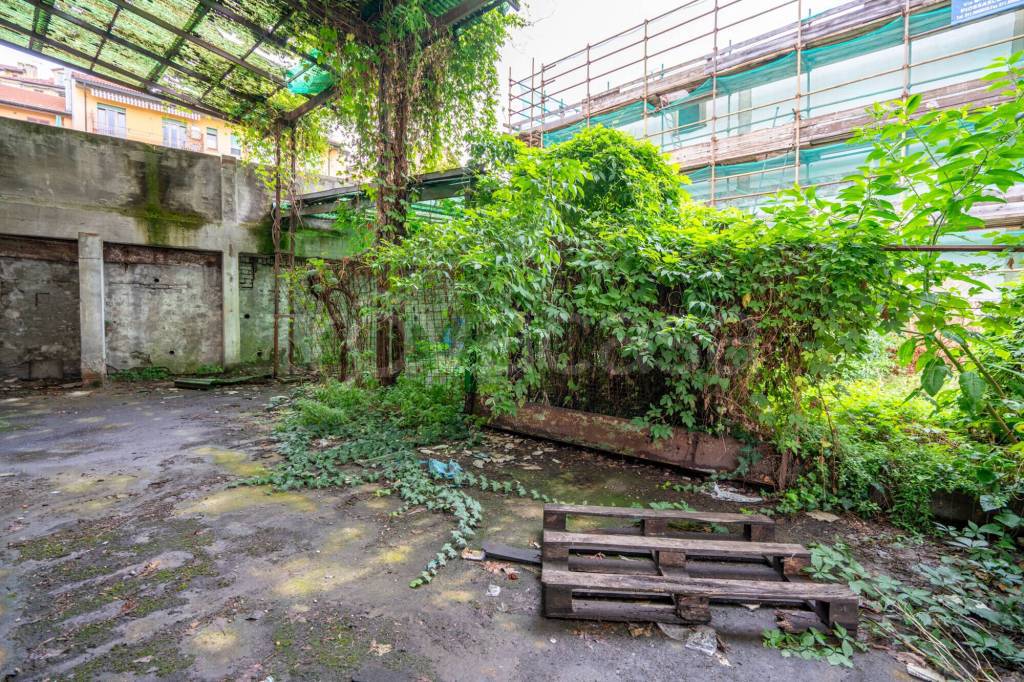 immagine annuncio 3 di 12