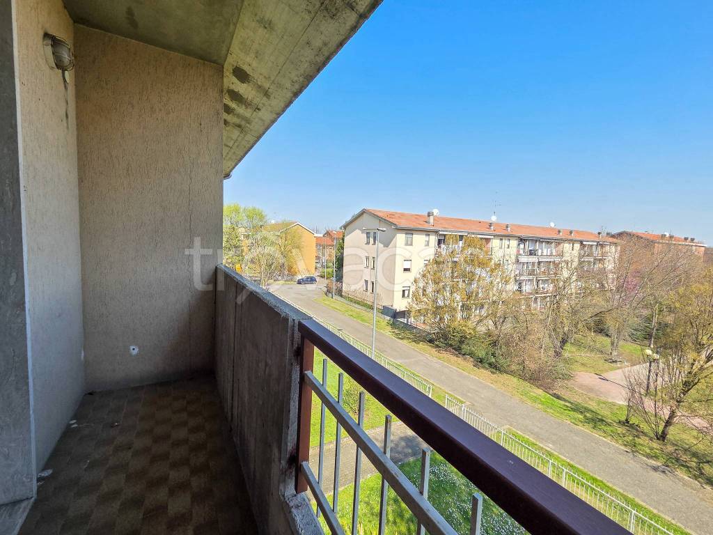 immagine annuncio 6 di 15