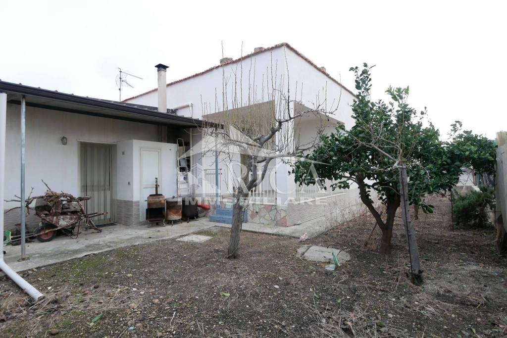 immagine annuncio 13 di 14