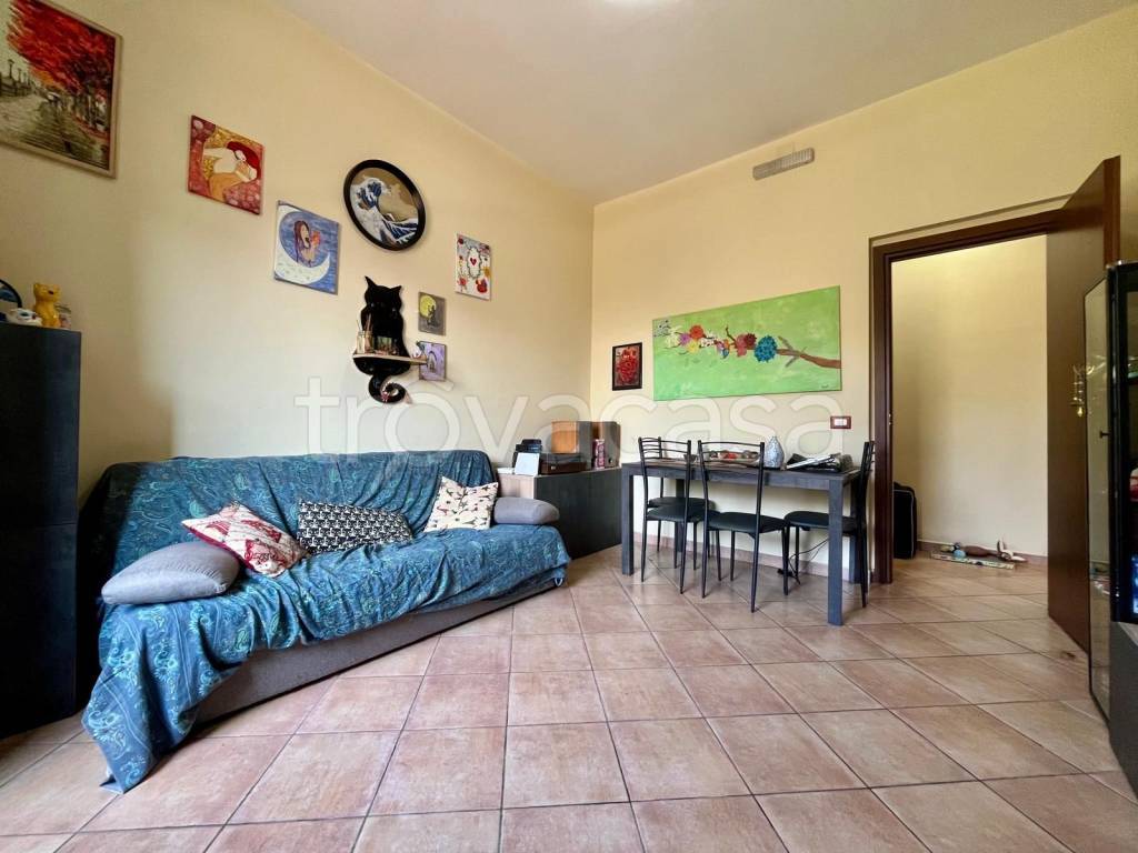 immagine annuncio 7 di 15