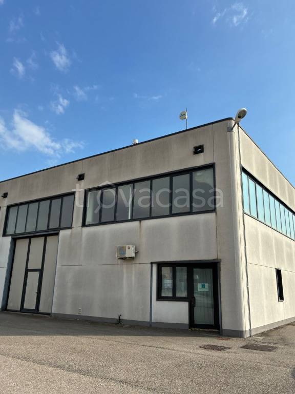 immagine annuncio 1 di 11