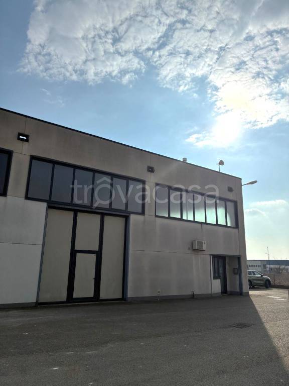 immagine annuncio 2 di 11