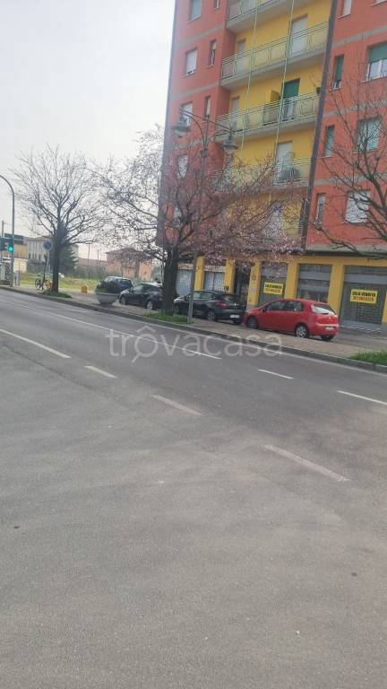 immagine annuncio 13 di 15