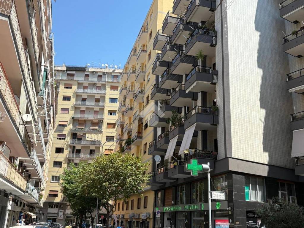 immagine annuncio 3 di 12