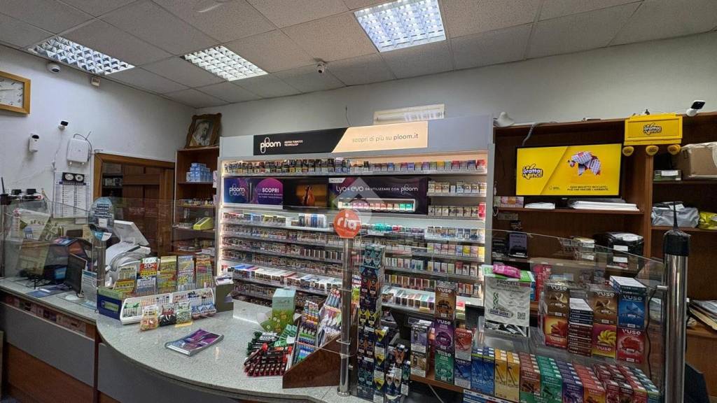 immagine annuncio 9 di 12