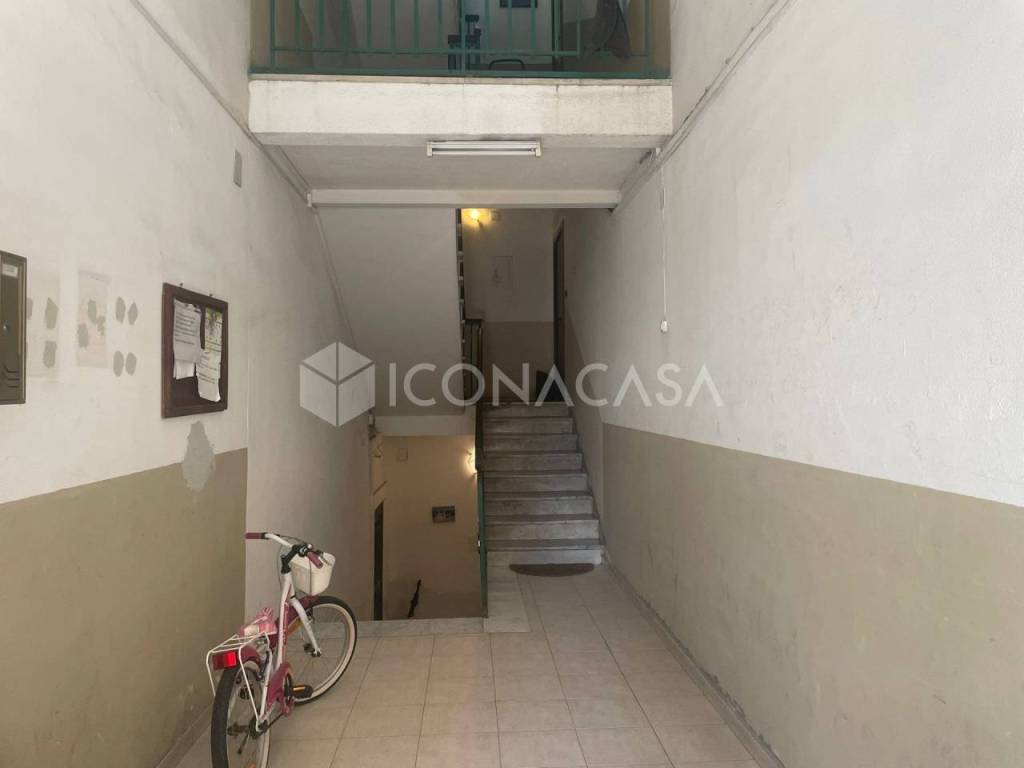 immagine annuncio 5 di 14