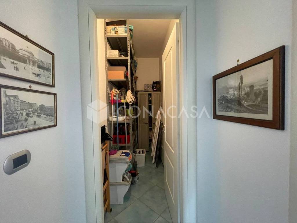 immagine annuncio 9 di 14