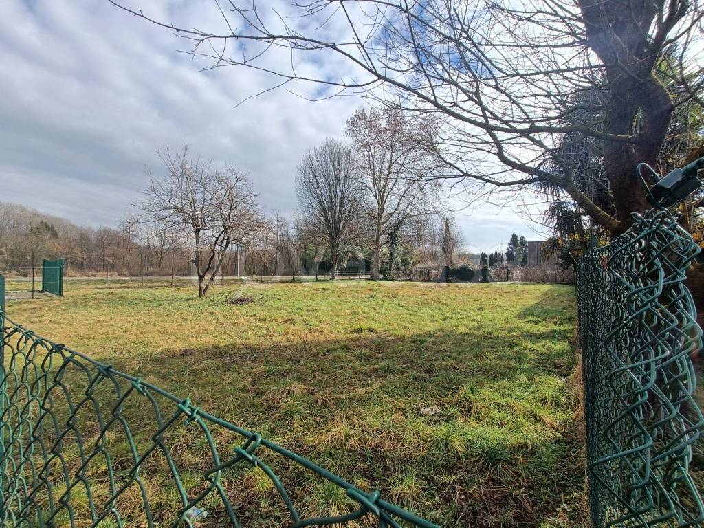 immagine annuncio 1 di 11