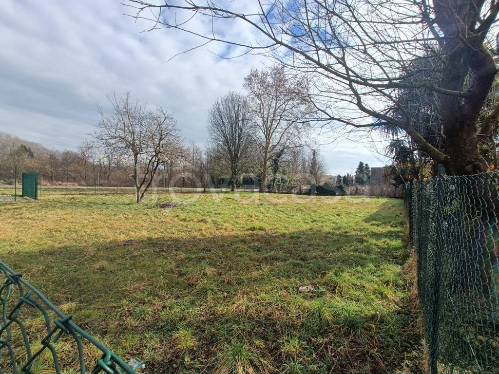 immagine annuncio 3 di 11