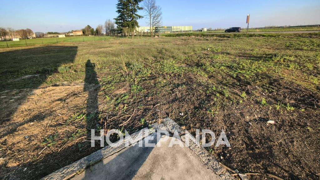 immagine annuncio 3 di 10