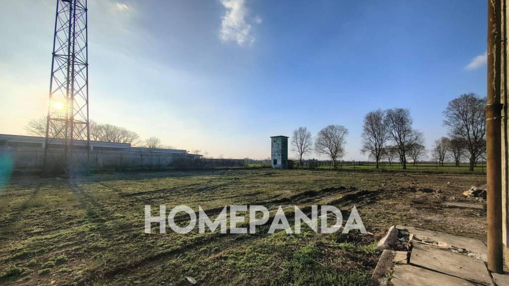 immagine annuncio 5 di 10