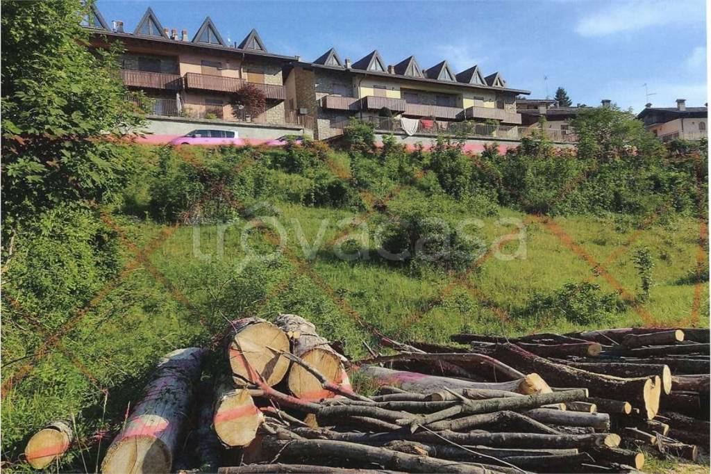 immagine annuncio 1 di 4