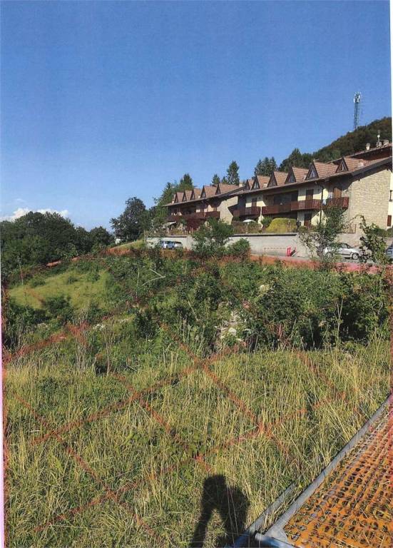 immagine annuncio 2 di 4