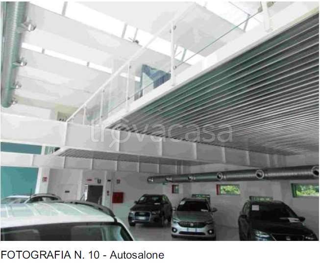 immagine annuncio 6 di 13