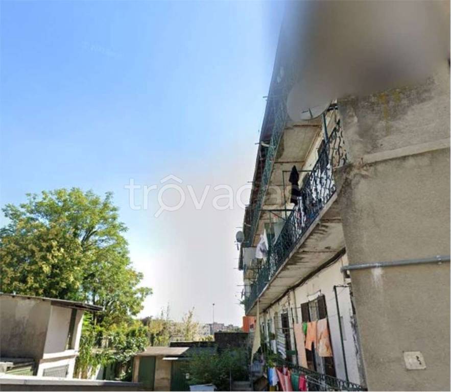 immagine annuncio 3 di 14