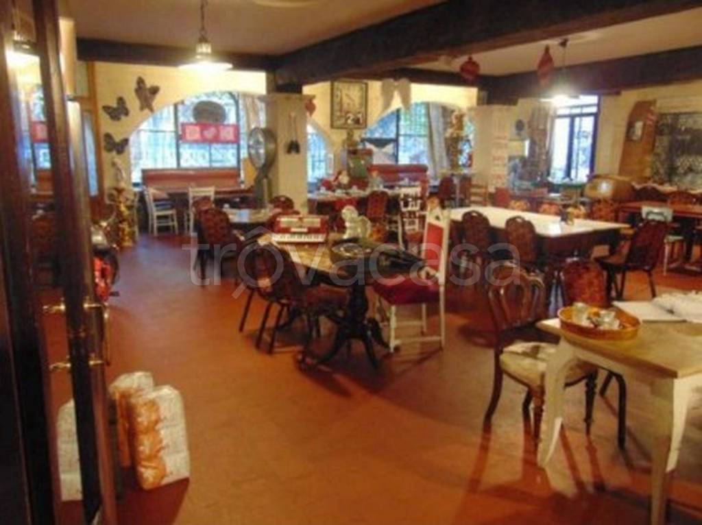 immagine annuncio 9 di 14