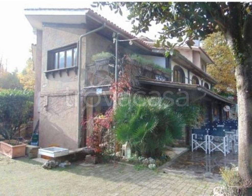 immagine annuncio 12 di 14