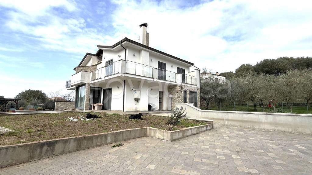 immagine annuncio 13 di 15