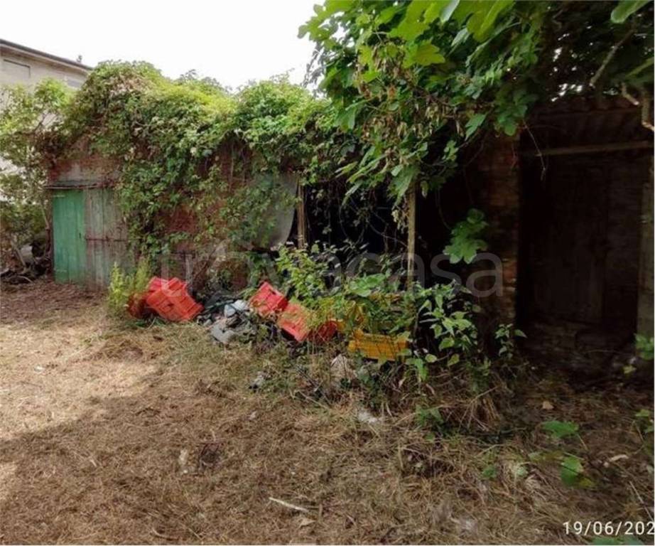 immagine annuncio 7 di 11