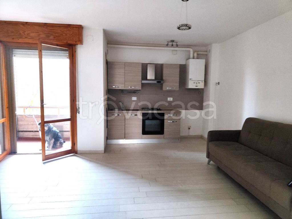 immagine annuncio 6 di 13