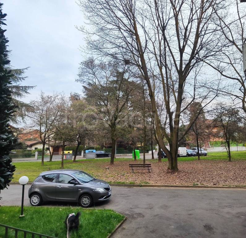 immagine annuncio 12 di 13