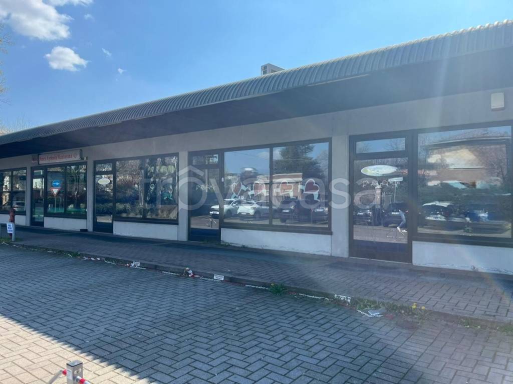 immagine annuncio 6 di 11