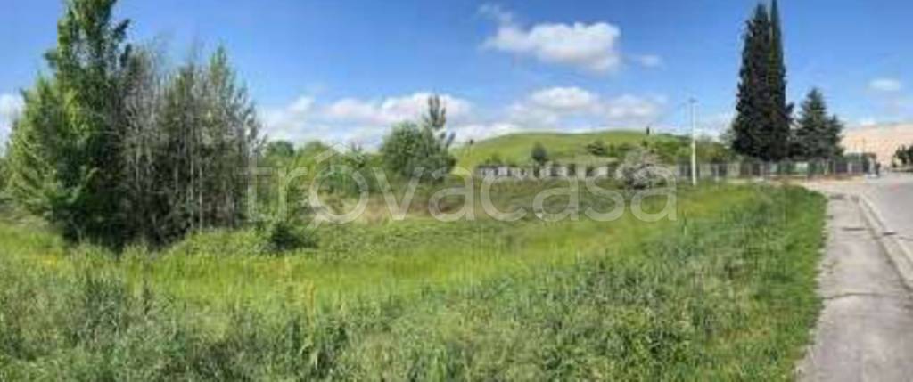 immagine annuncio 6 di 11