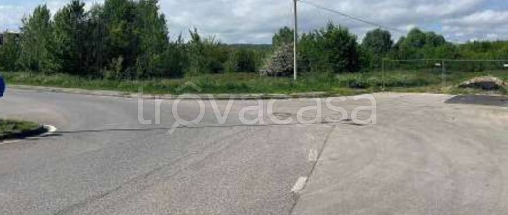 immagine annuncio 3 di 11