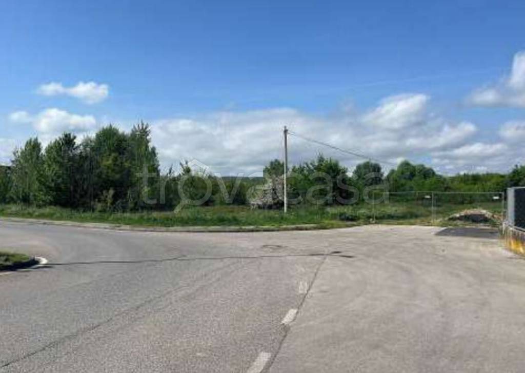 immagine annuncio 7 di 11