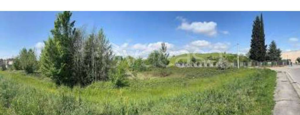 immagine annuncio 4 di 11